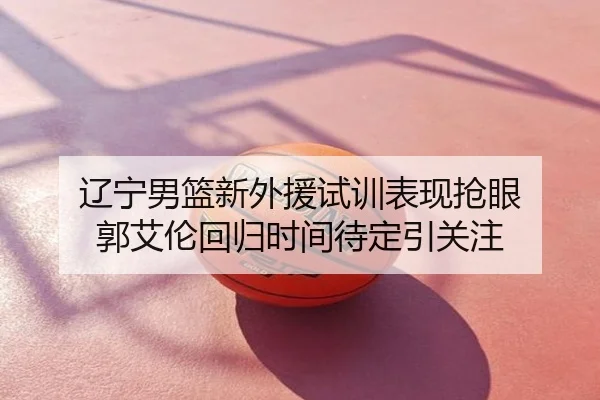 辽宁男篮新外援试训表现抢眼 郭艾伦回归时间待定引关注